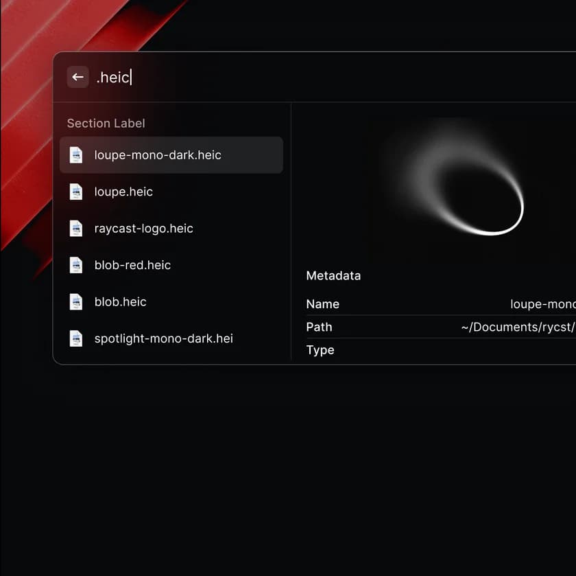 Raycast file search interface